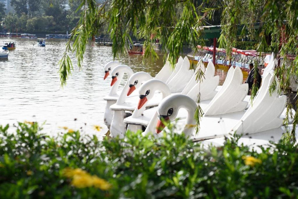 เซน รูม วีนัส พาร์ควิว บาเกียว Hotel Baguio City ภายนอก รูปภาพ